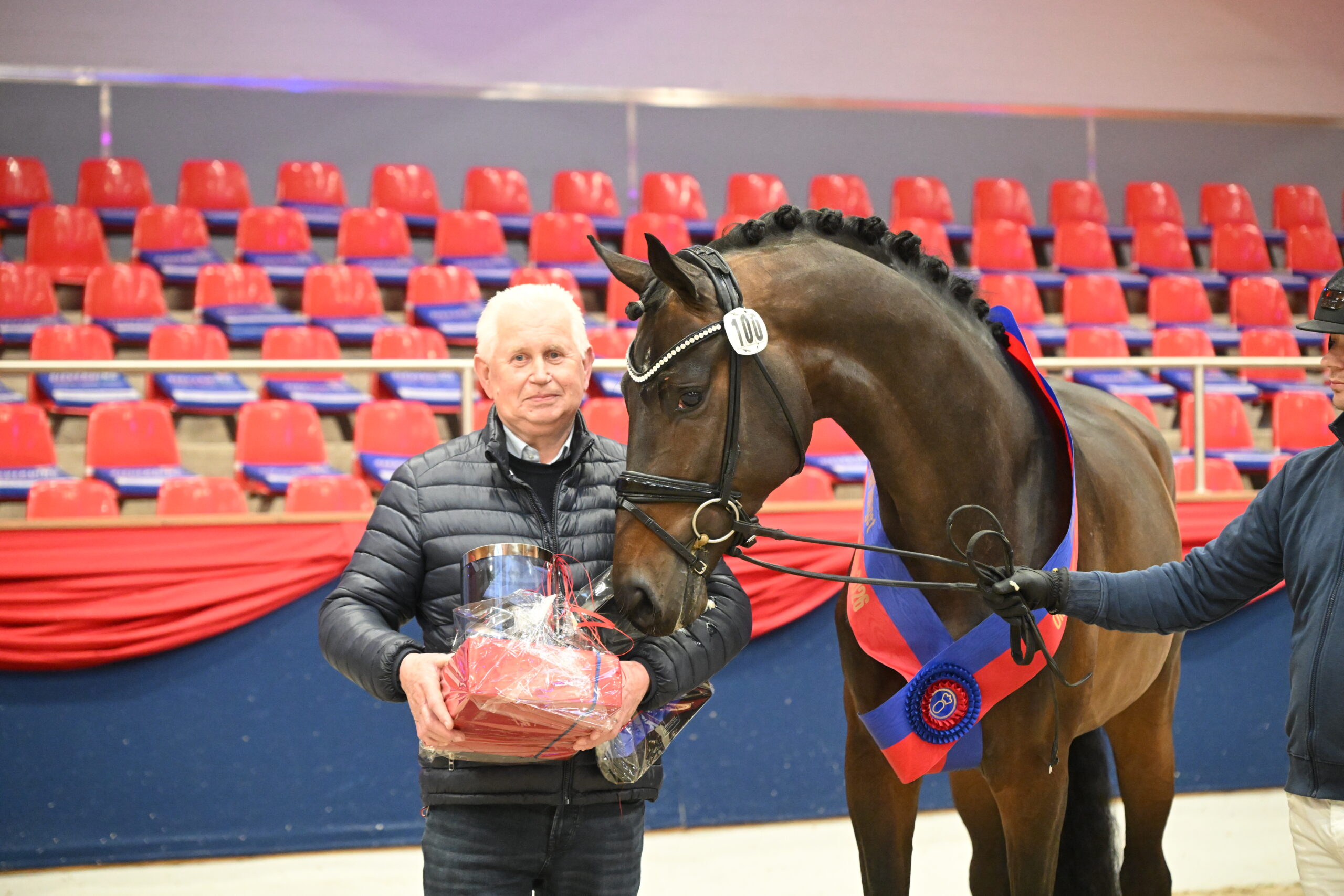 Saddle licensing Oldenburg 2026: Champion stallion by Best of Gold