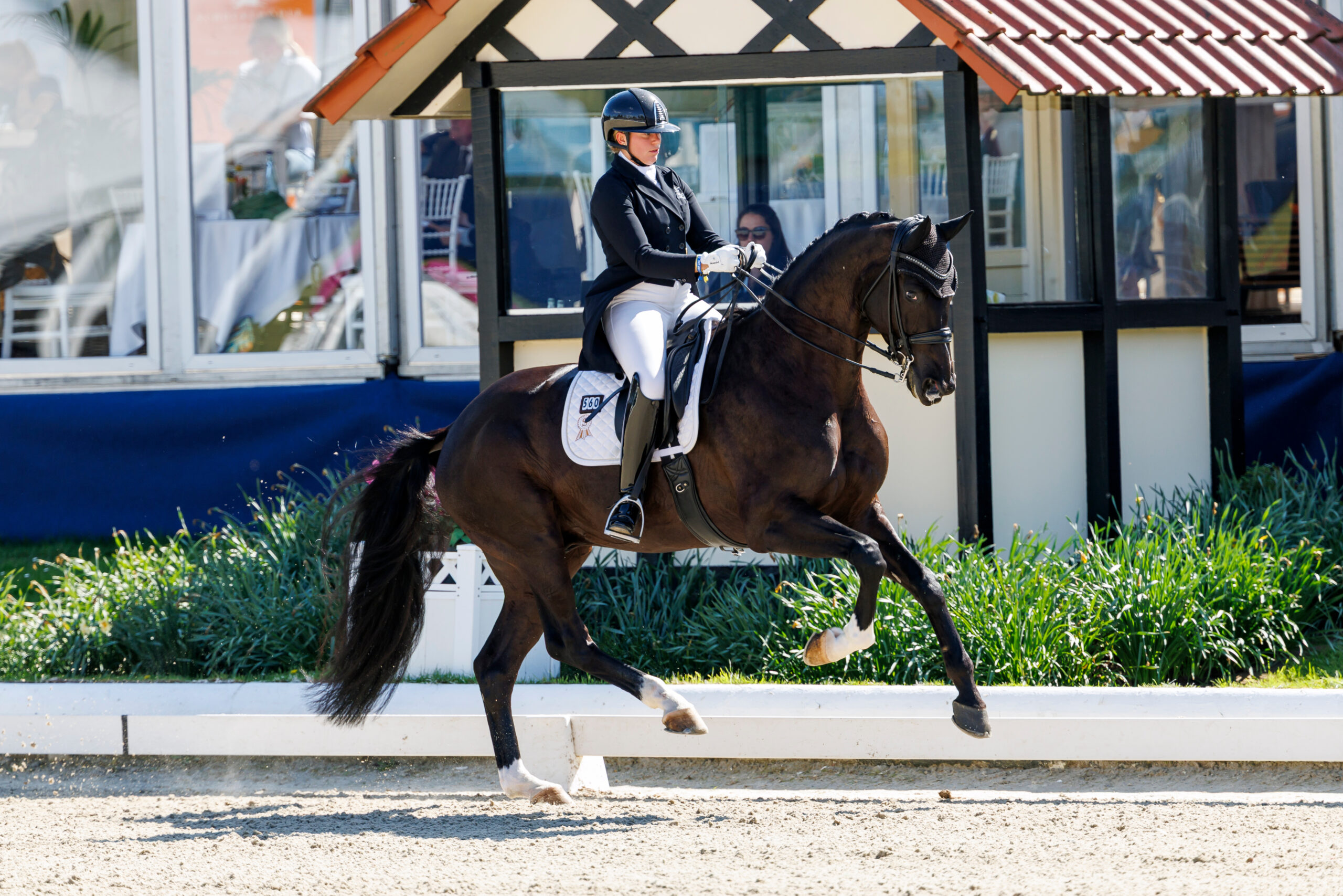 Evelyn Eger and Global Power follow up