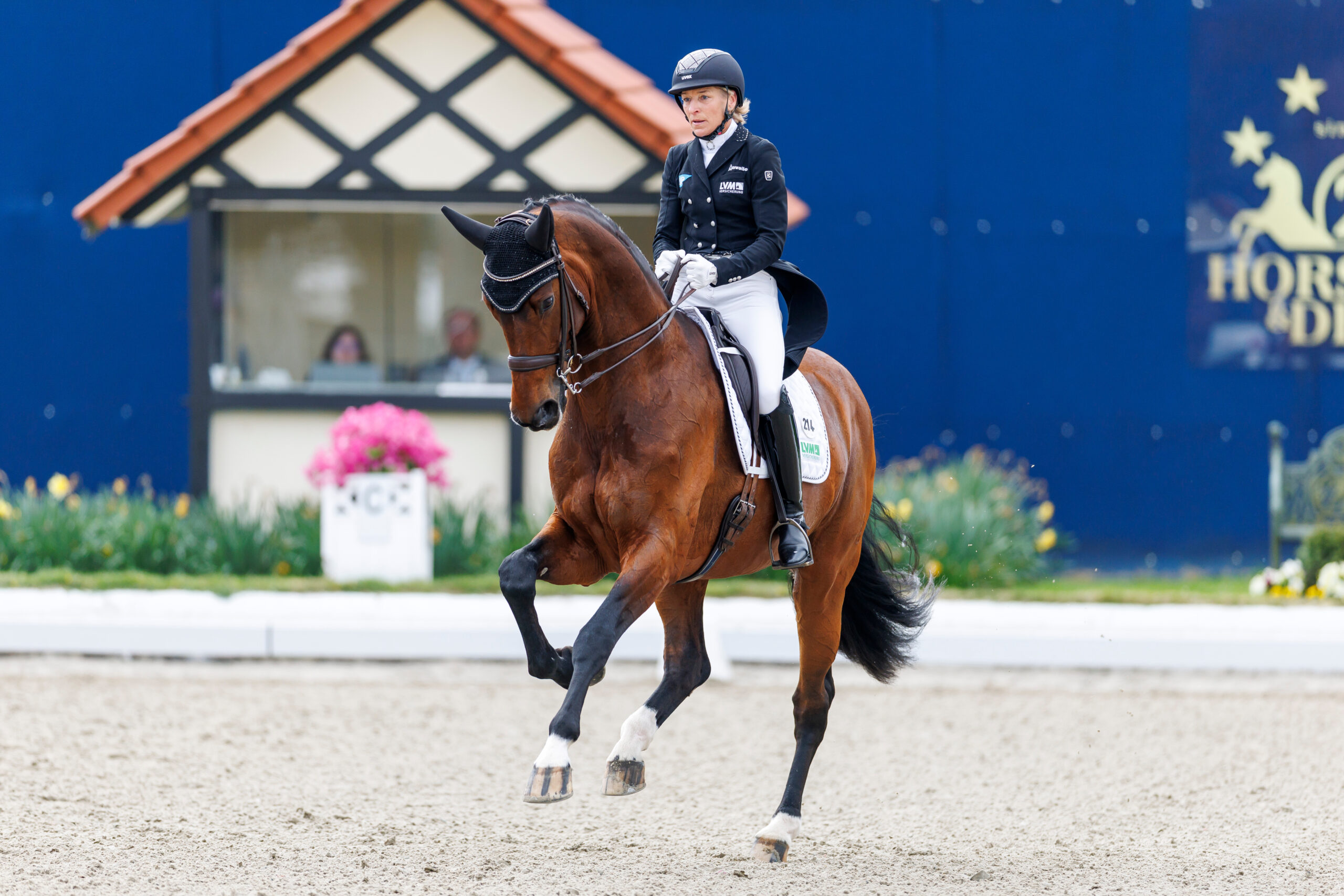 Ingrid Klimke and Vayron. Photo: Sportfotos-lafrentz.de