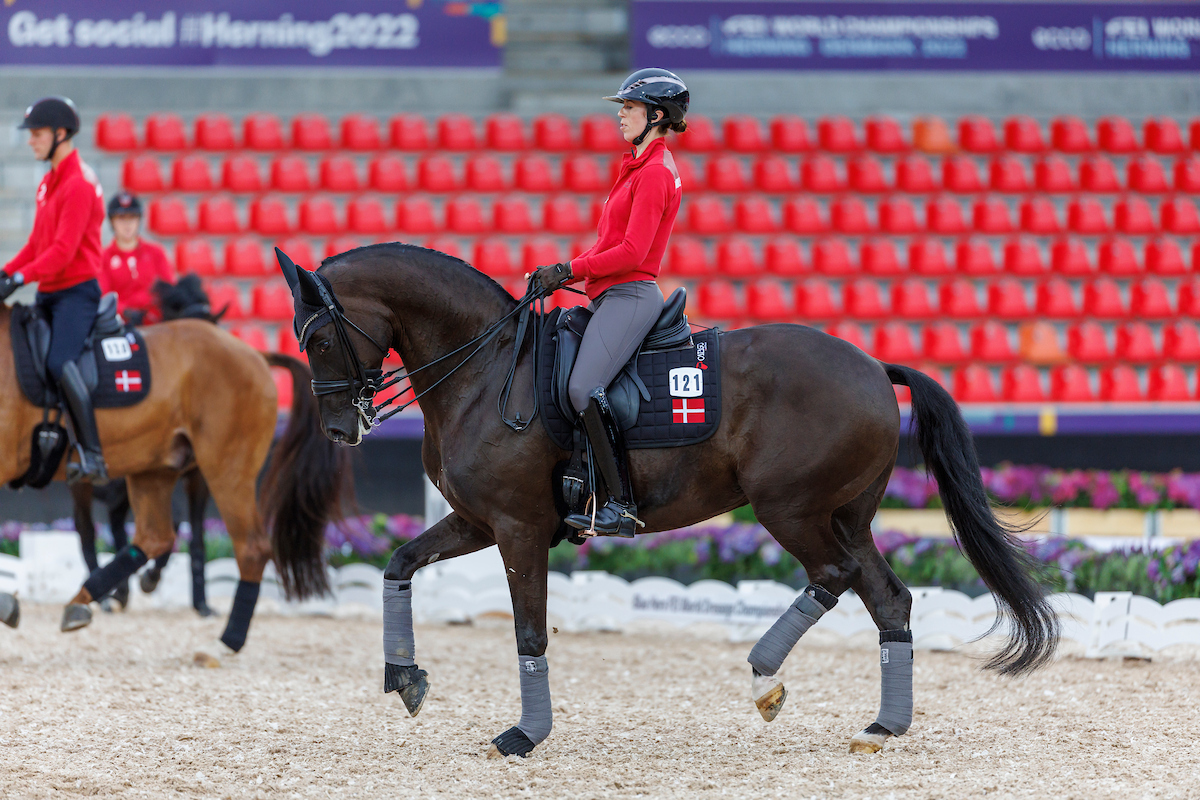 Carina Cassøe Krüth is training the mare Heiline's Danciera at the 2022 World Championships in Herning. Photo: sportfotos-lafrentz.de