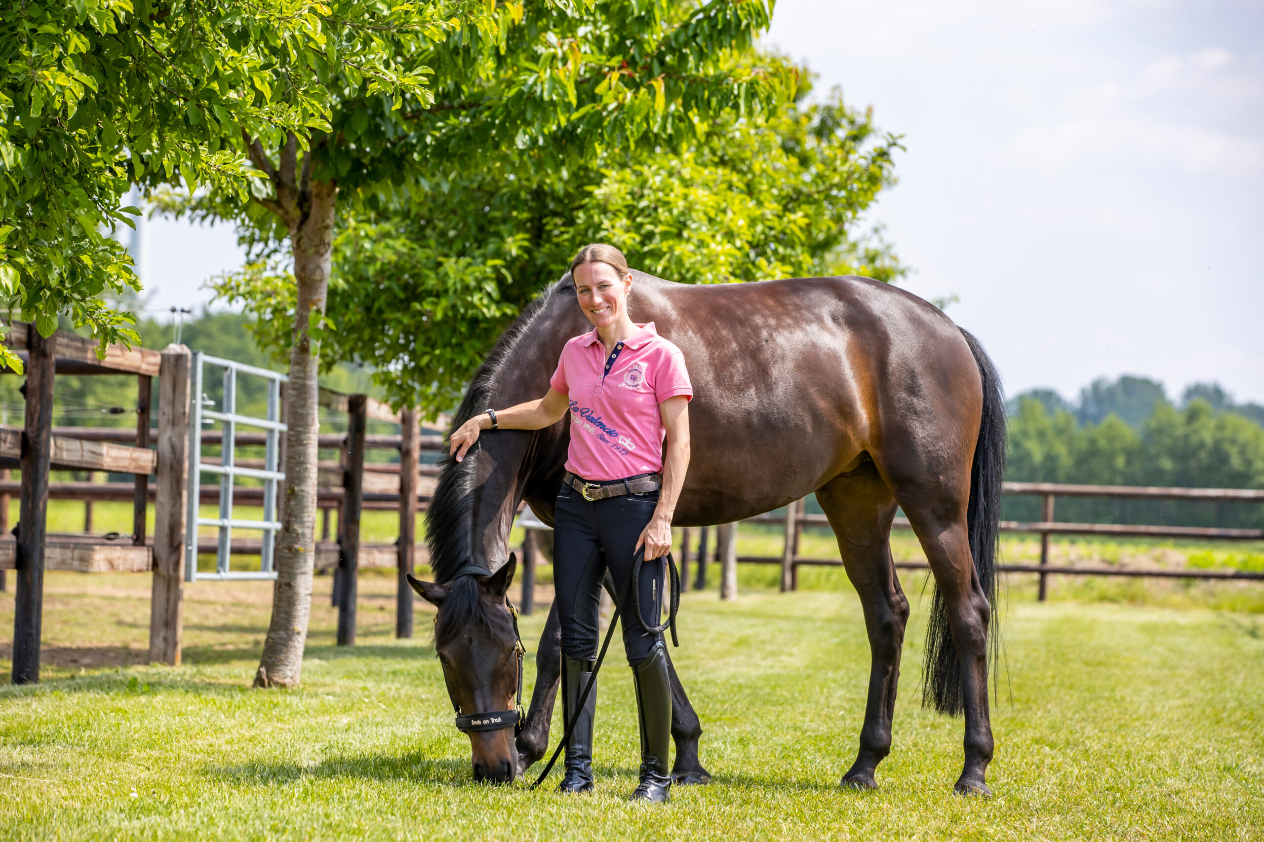 The next prank from Straight Horse Ascenzione