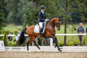 Ex-Bundeschampion Va’ Pensiero wins ahead of Burg-Pokal finalist