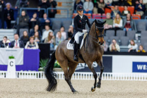 FEI rankings: Laudrup-Dufour number one in the world, Vogel third best show jumper