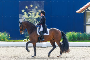 Freestyle with half power to 82.391 percent and Vayron, the lion heart