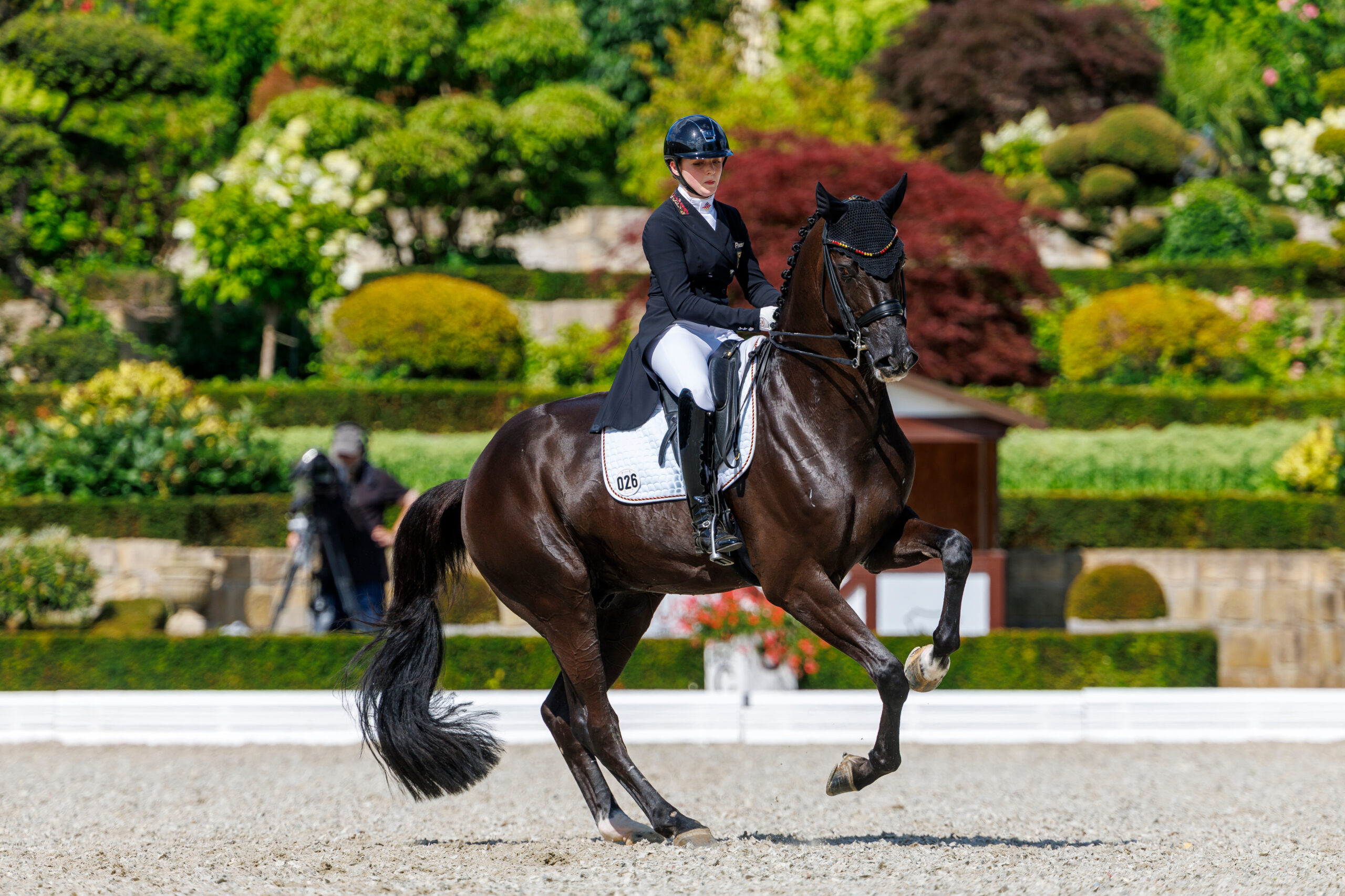 Internationales Grand Prix-Pferd für Familie Oatley