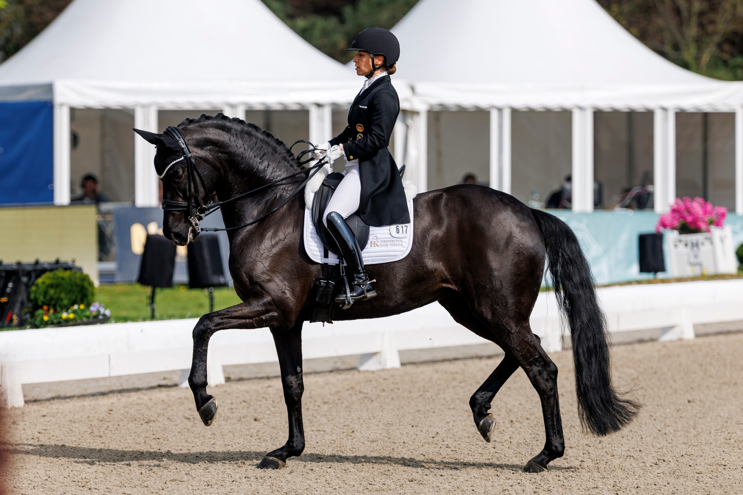 Erster internationaler Sieg für Schürmanns Dante’s Pearl OLD
