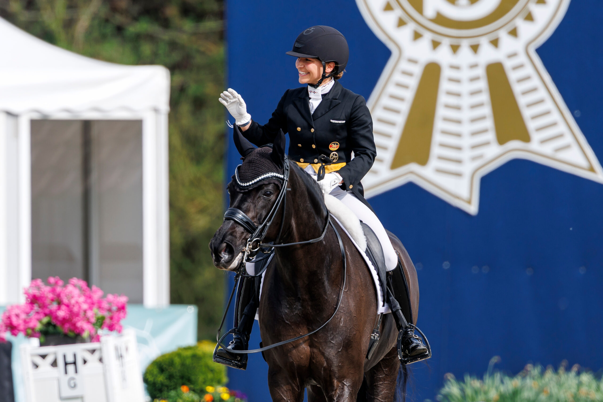 PM – Horses & Dreams 2026: Nationale Serien mit Tiefe und Perspektive