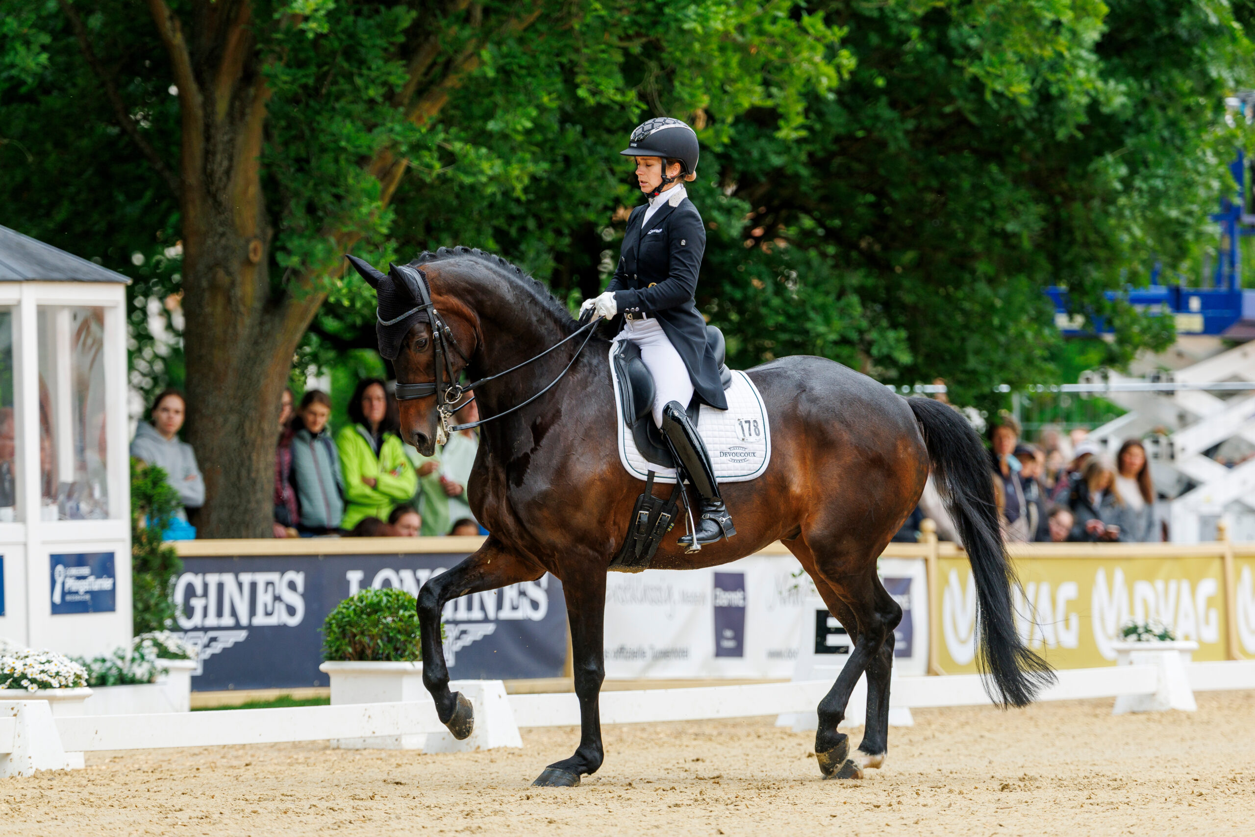 Franziska Stieglmaier im Talentpool der Stiftung Deutscher Pferdesport