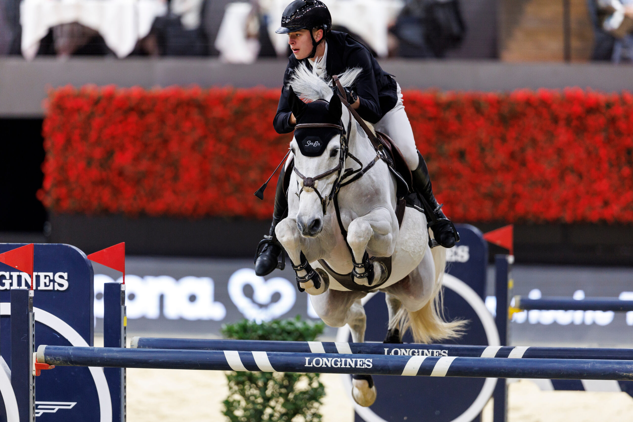 Successful young show jumpers in Compiègne