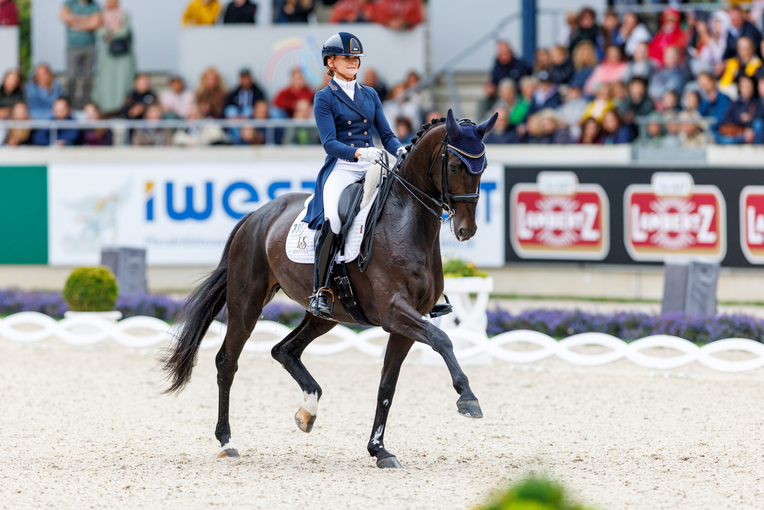 Two Dutch dressage horses on the World Championship course in Exloo, Schneider’s Karlijn with faults