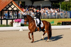 Hagen: Freestyle meets Viva Gold, Werth with new horse etc.