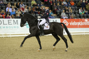 Familie Holkenbrink trauert um Stationshengst Show Star