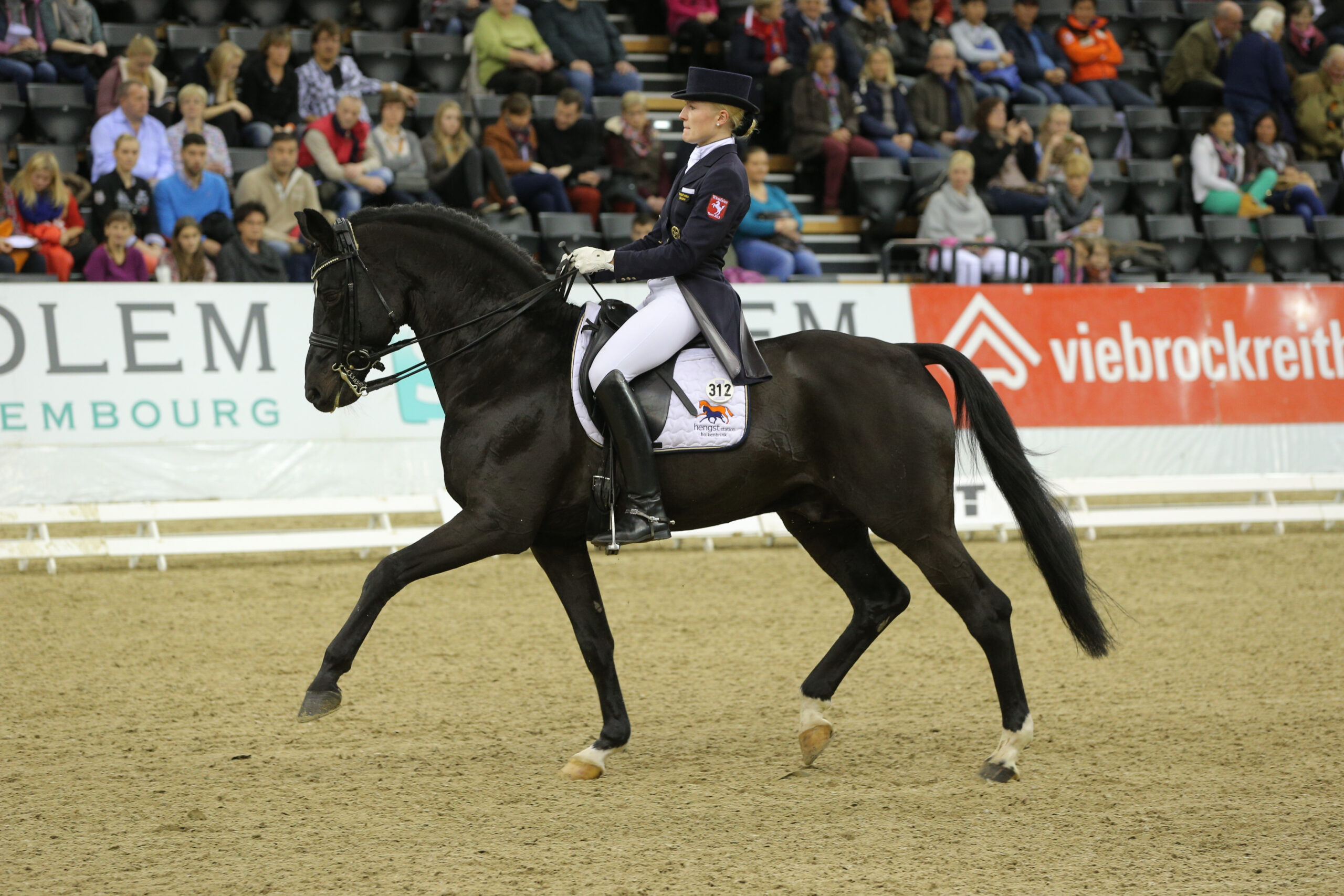 Holkenbrink family mourns the loss of station stallion Show Star