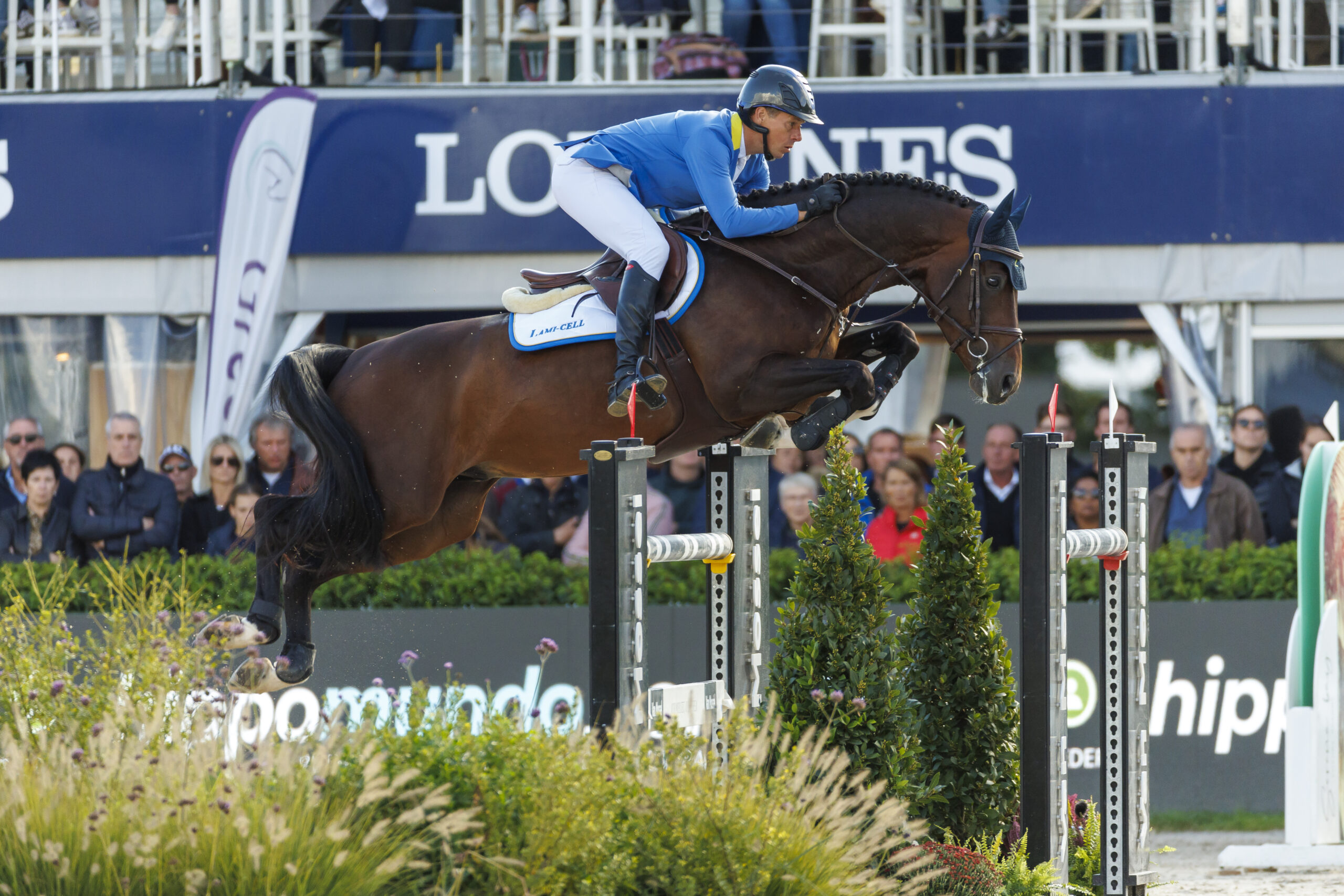 New requirements at the World Championships for Young Show Jumpers