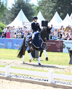 Horse International