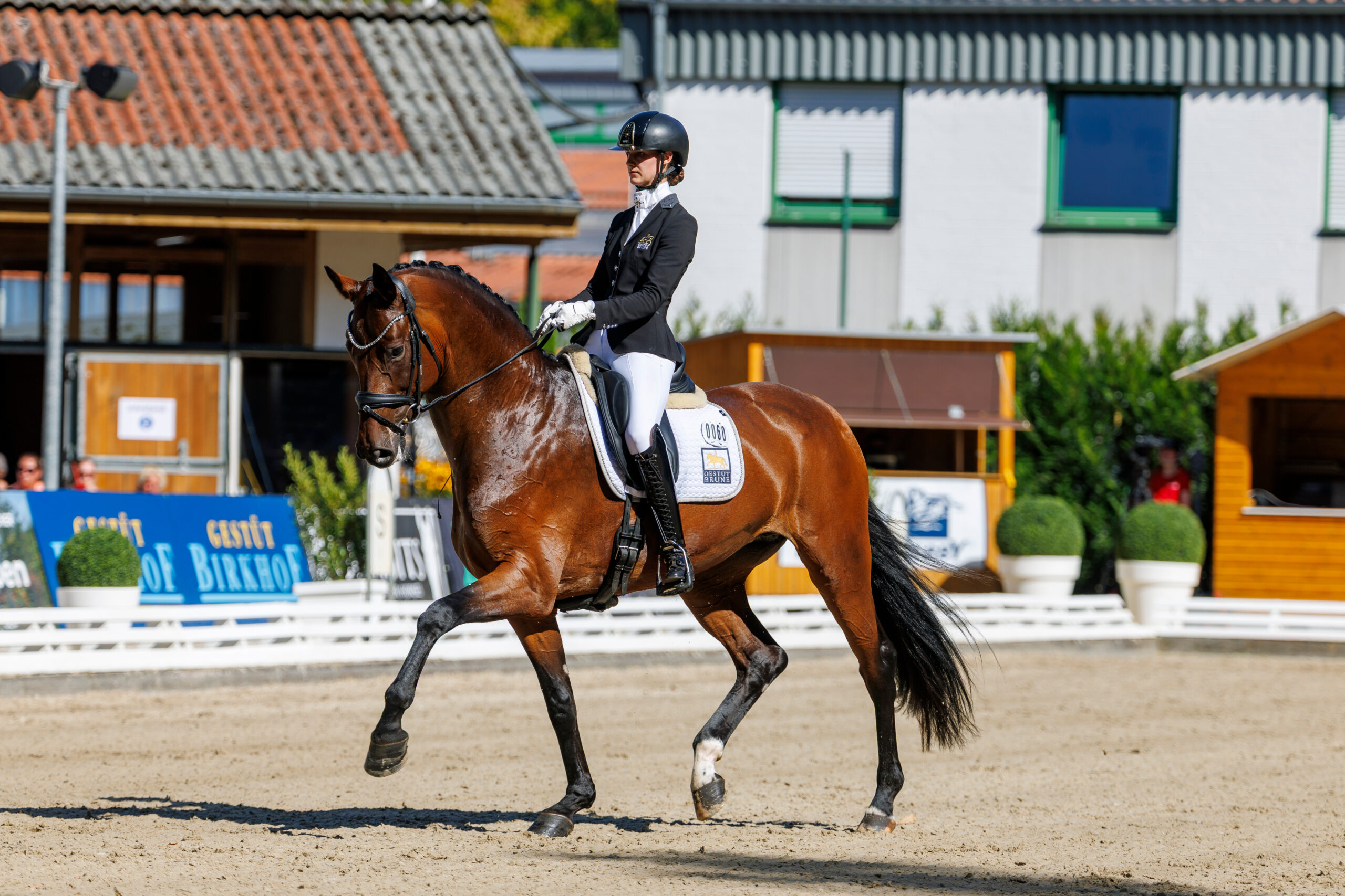 Discussion round “Hot topics” – demands of the equestrian industry to the FN, Dr. Dennis Peiler on criticism