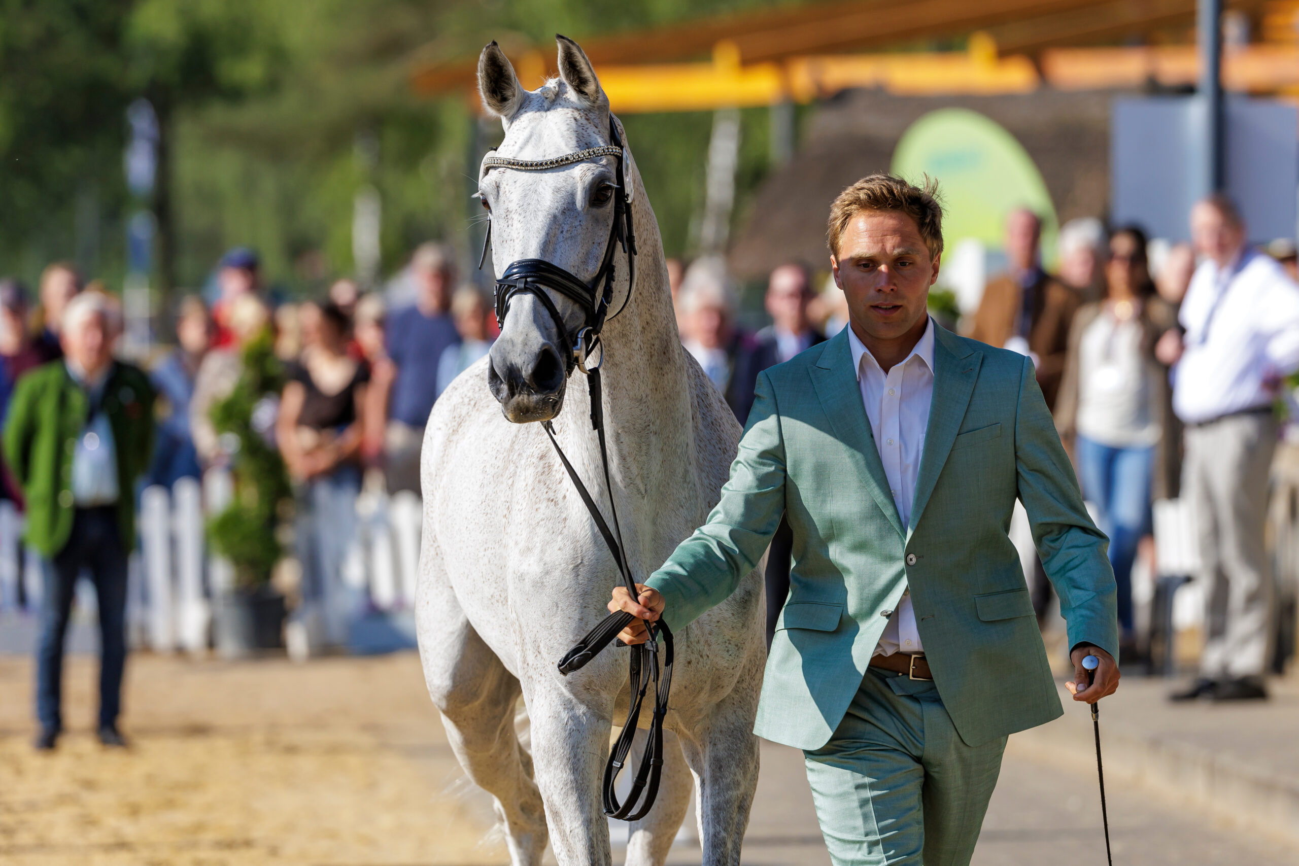 Dressurauftakt von Arne Bergendahl in Badminton – Lucy ist bereit für den Cross!