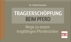 Trageerschöpfung beim Pferd: Was ist das eigentlich?