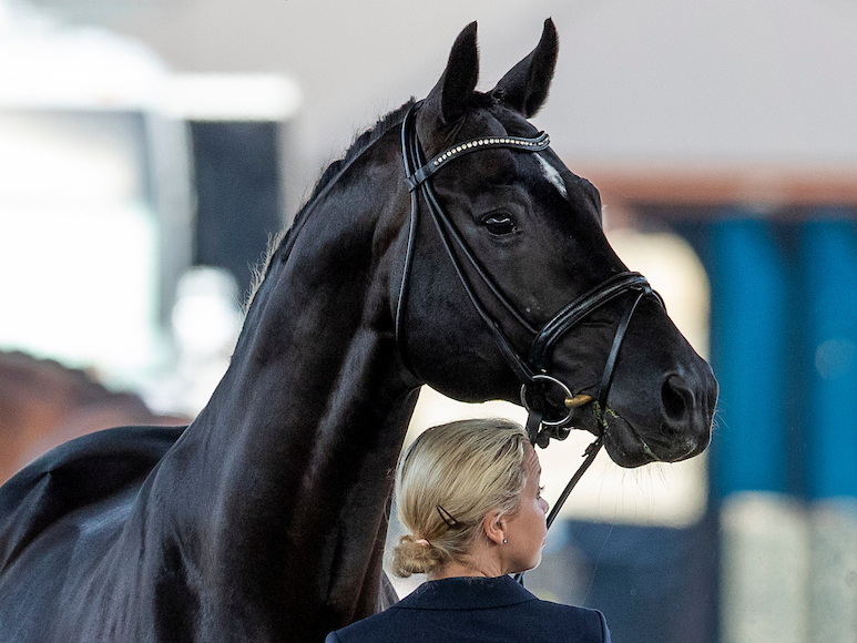 Dante Weltino and Therese Nilshagen. Photo: sportfotos-lafrentz.de