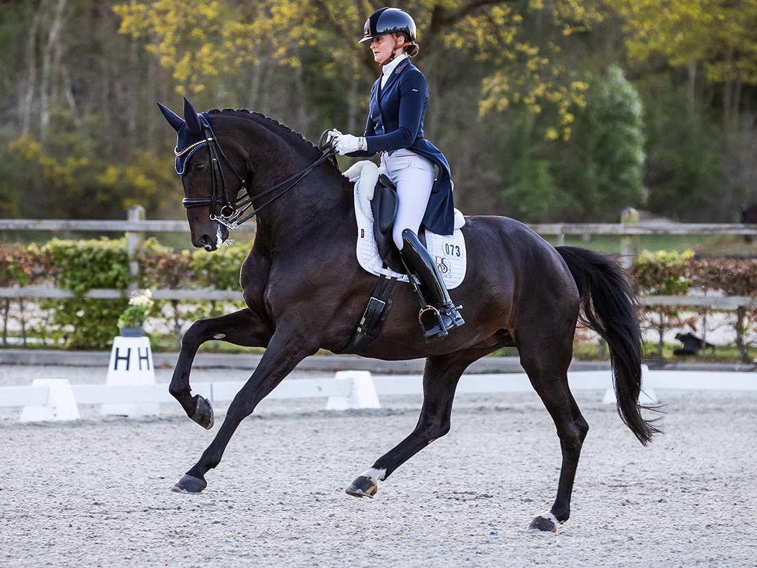Exloo: Zantana RS2 and Marieke van der Putten consolidate their position on the Dutch dressage scene