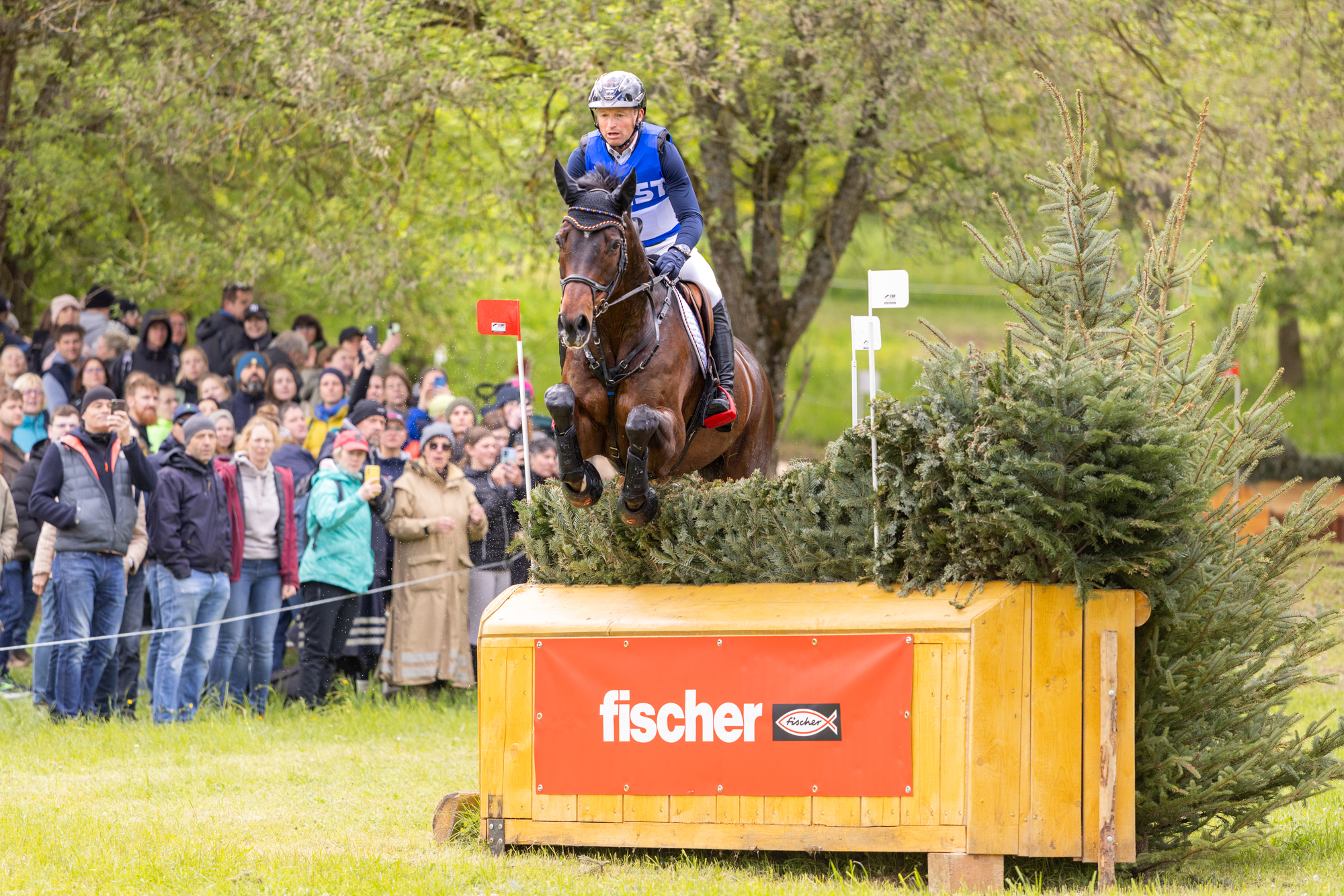 Michael Jung and German Team Overnightleader in Marbach