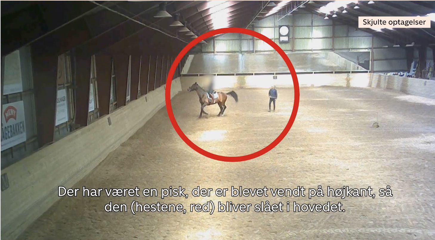 Denmark rocked once again by dressage whipping scandal