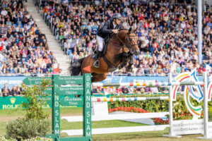 The bird and United Touch sensation from Aachen is perfect