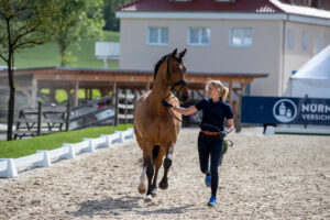 Promi-Pferdekind Nummer zwei in Aubenhausen
