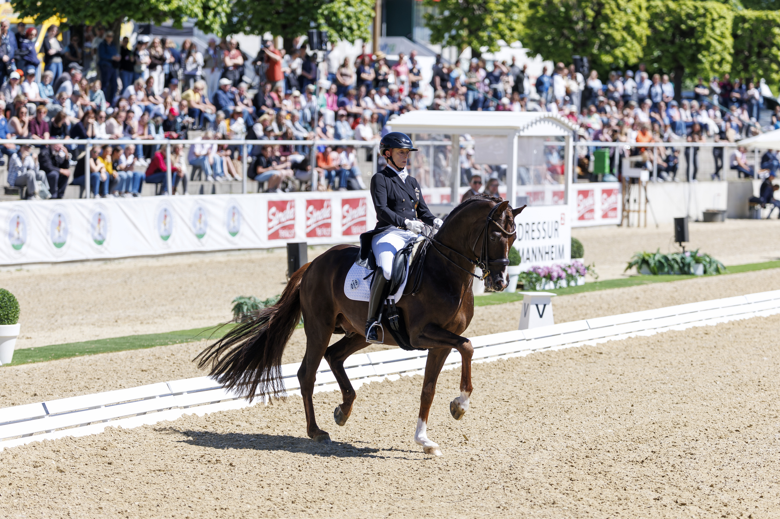 Viva Gold unbeatable in Mannheim special despite slip-ups