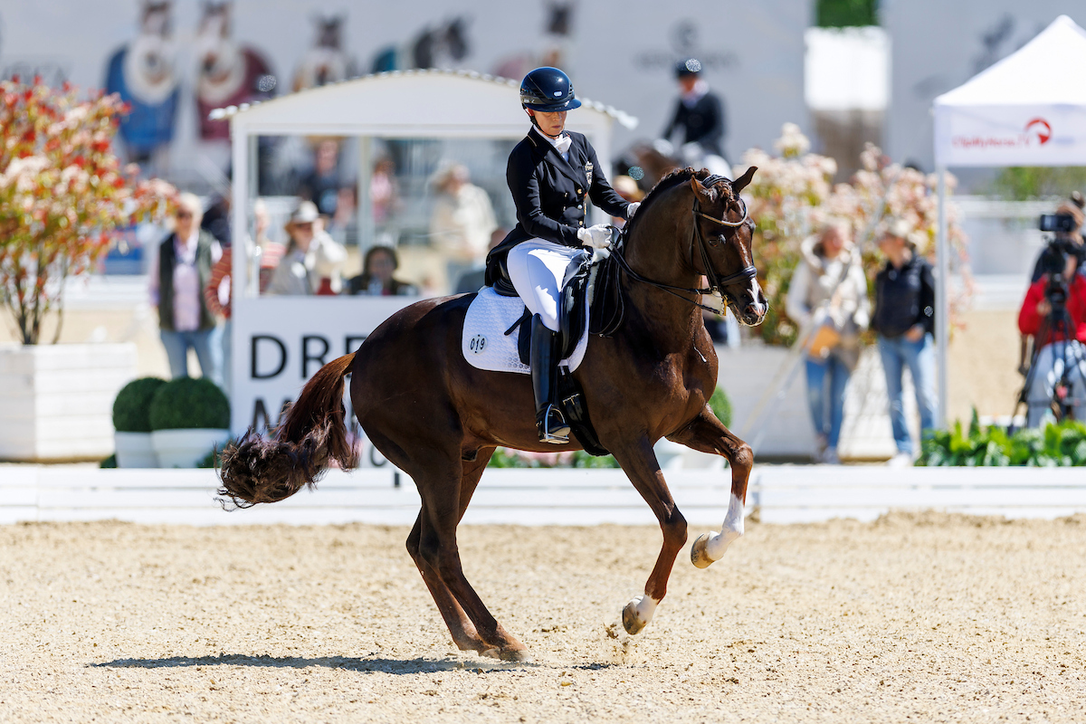 A world-class performance despite two faults in the canter tour: Issbell Werth and Viva Gold won the Grand Prix at the Maimarkt show in Mannheim. Photo: sportfotos-lafrentz.de