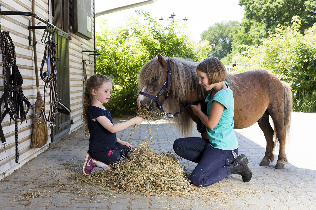 Symposium: How to Reintegrate Horses More Fully into Education and Childhood