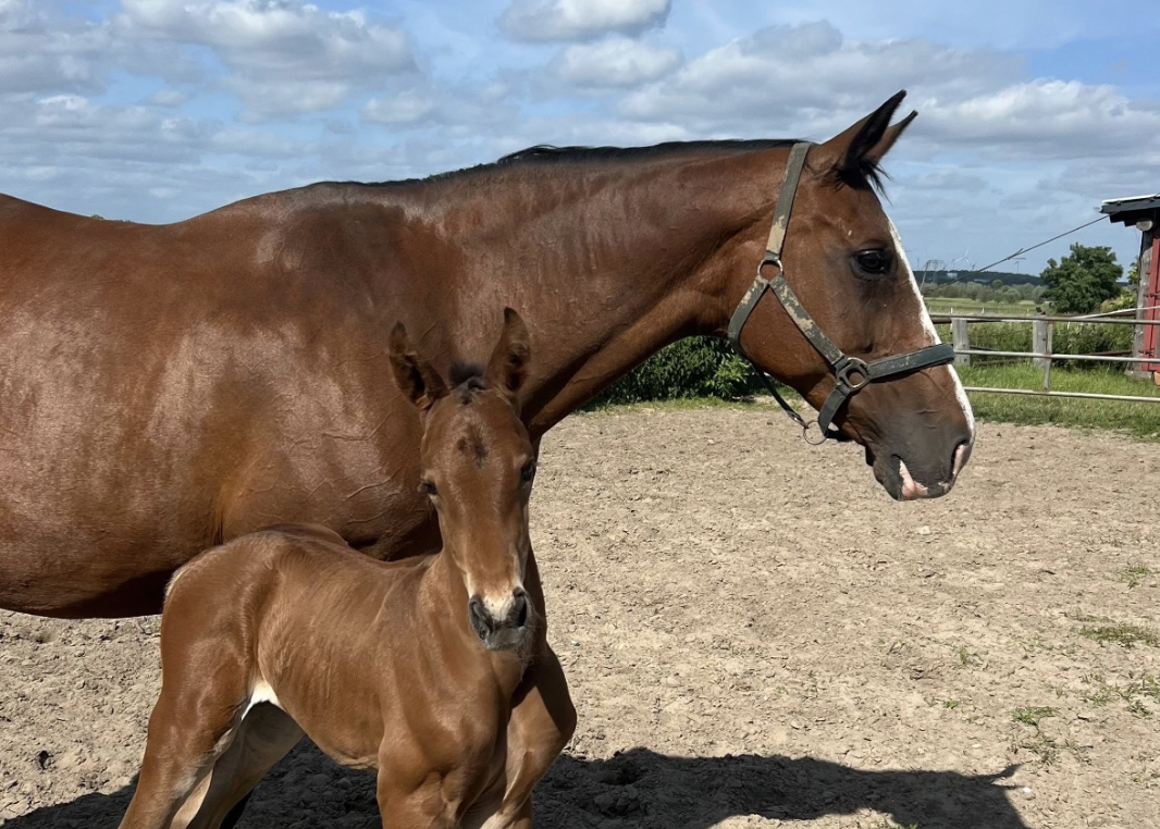 Julia Krajewski’s Mandy Becomes a Mother for the Second Time