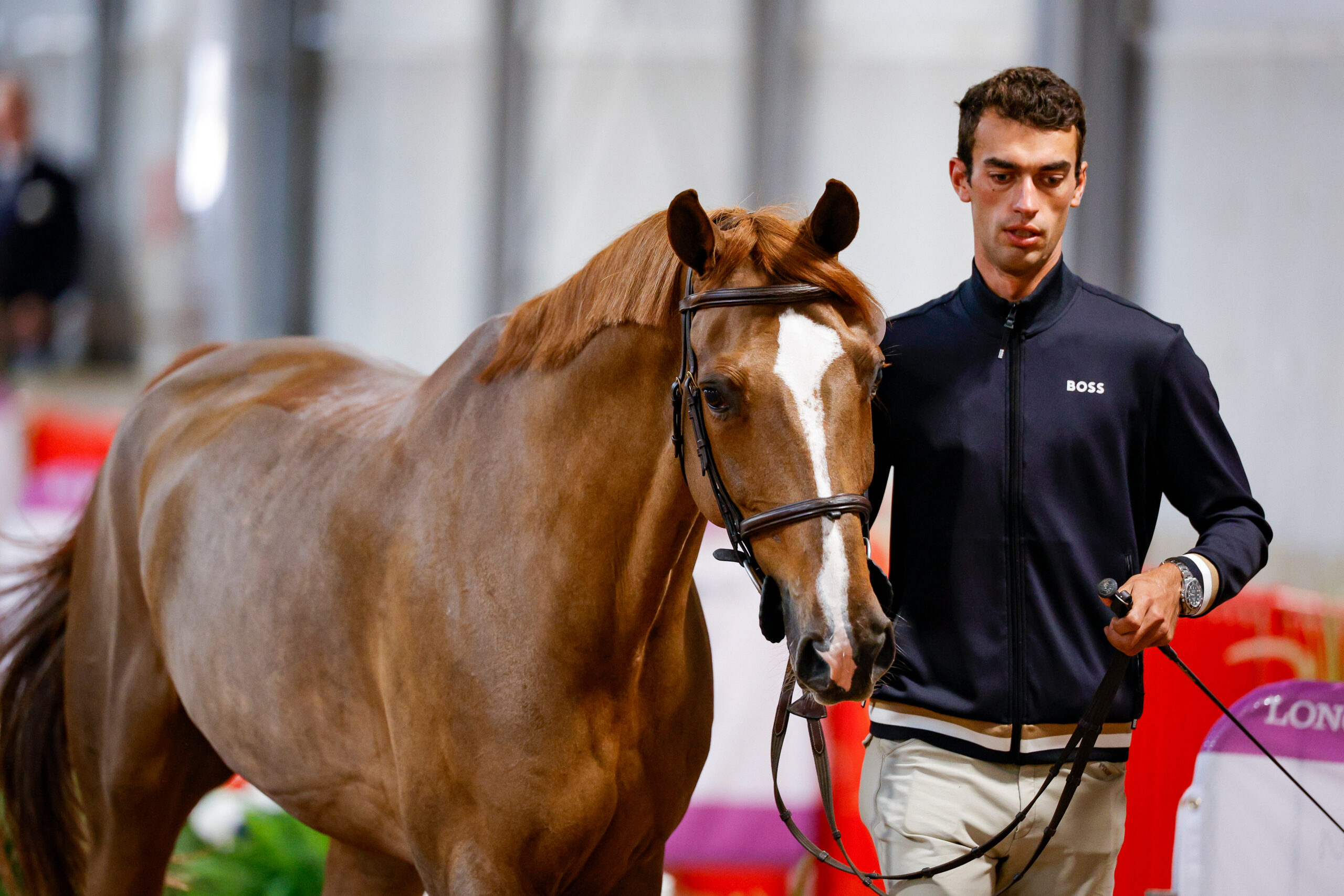A well-rehearsed duo: René Dittmer and the Holsteiner Casall son Cody. Photo: sportfotos-lafrentz.de/Tiffany van Halle 