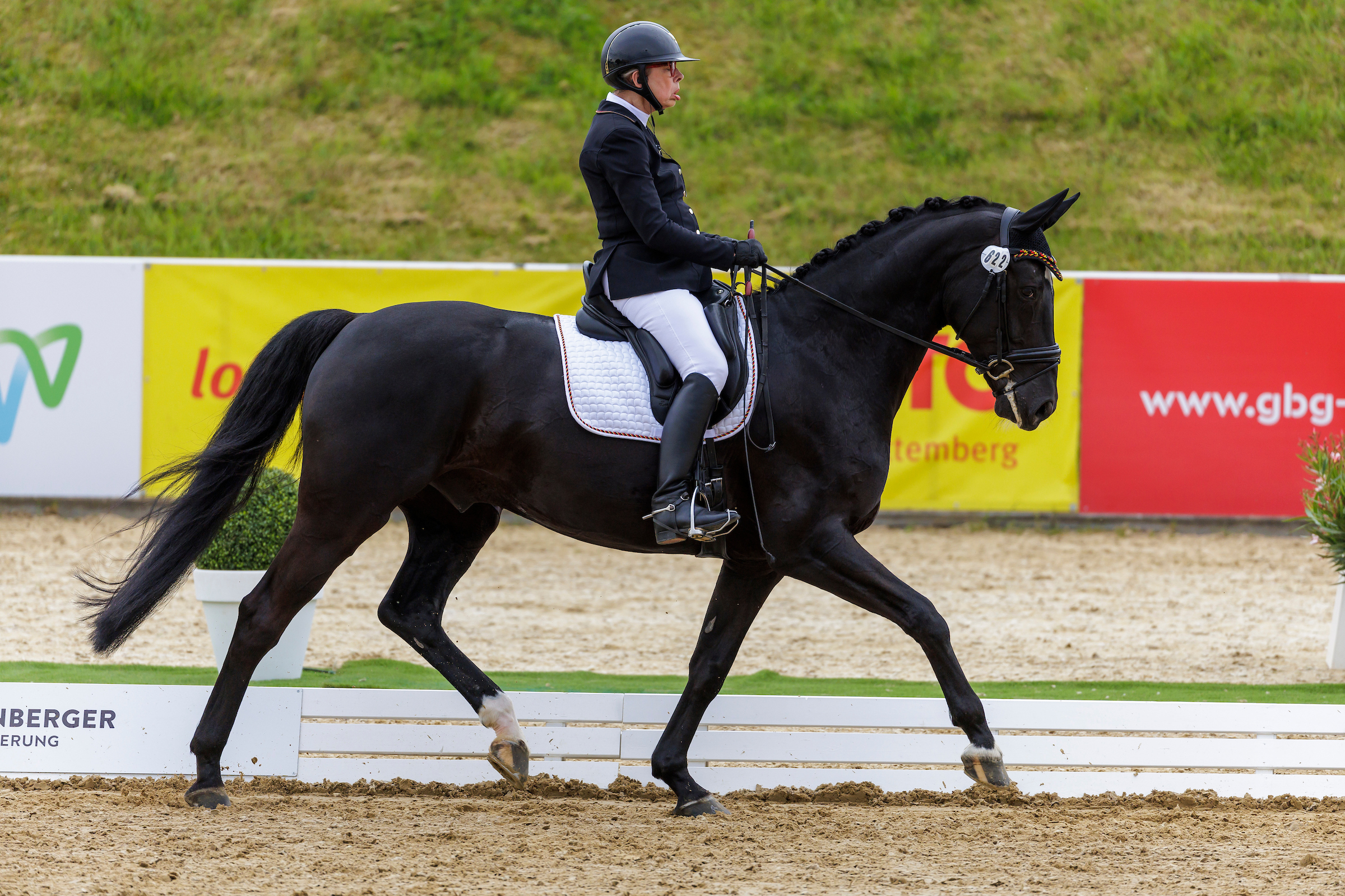 German Para-Dressage Riders in Top Form at Final World Championship Tryouts