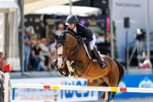 Million Dollar makes his show comeback at the Holsteiner Horse Days