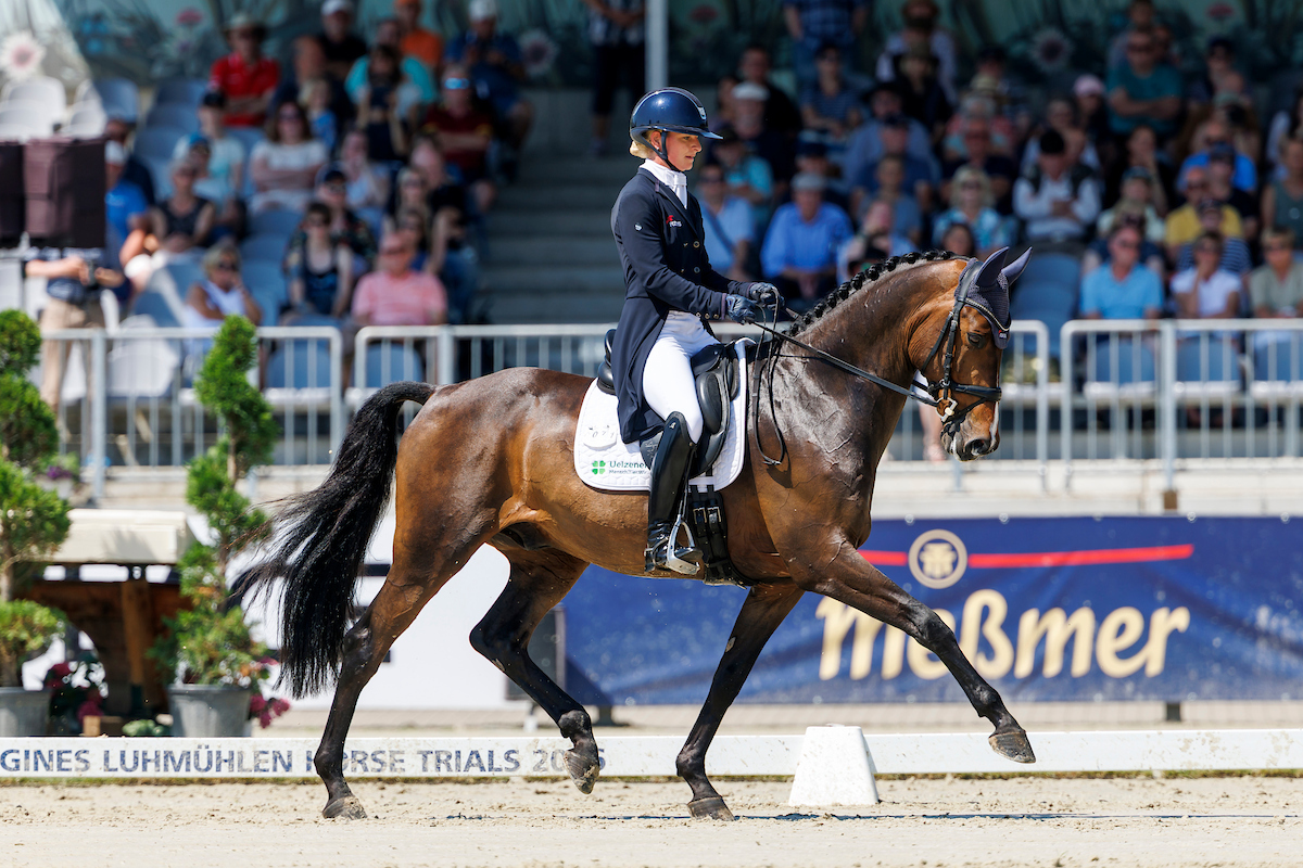 Julia Krajweski in first and third place after dressage in Luhmühlen; Malin Hansen Hotopp, with three broken ribs, finishes second