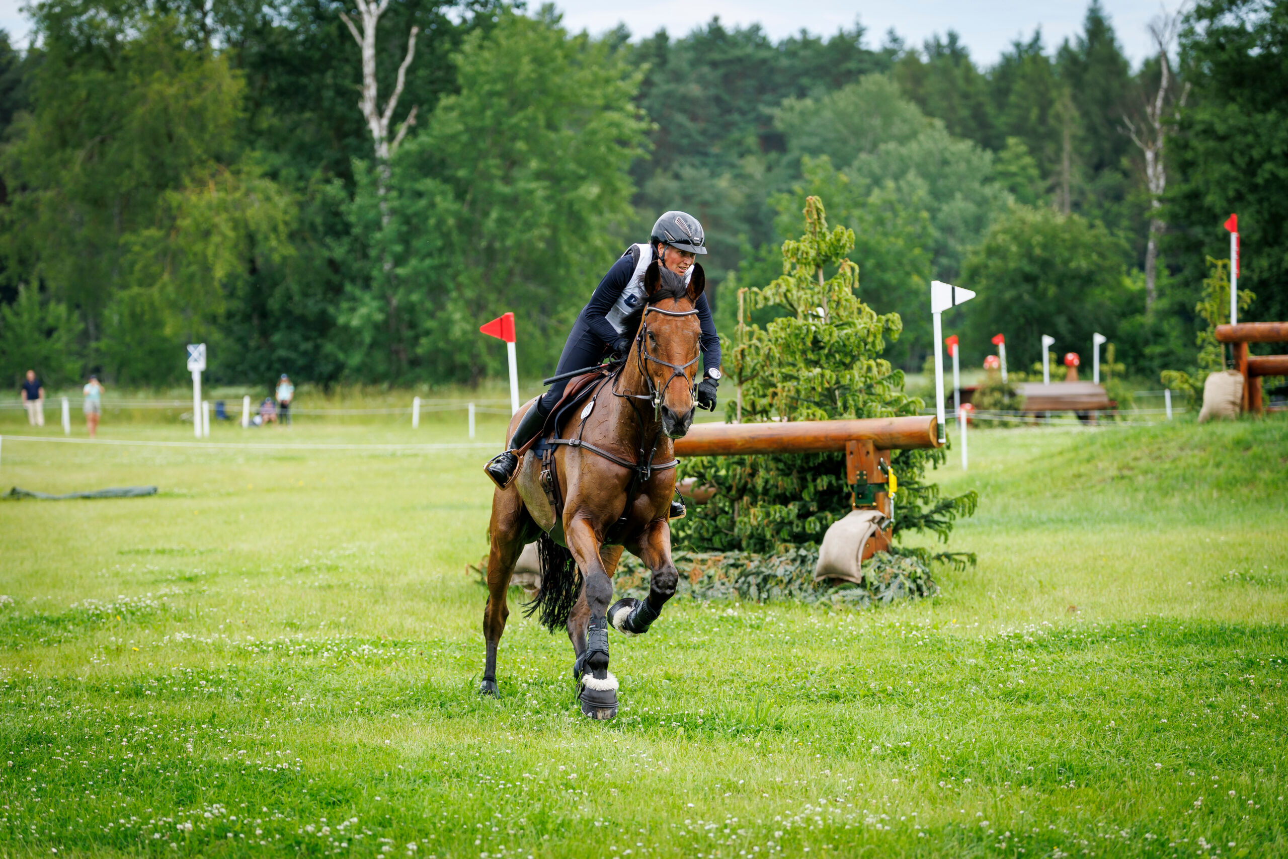 A fantastic five-star debut for Katharina Meyer and Aspen T! Photo: sportfotos-lafrentz.de
