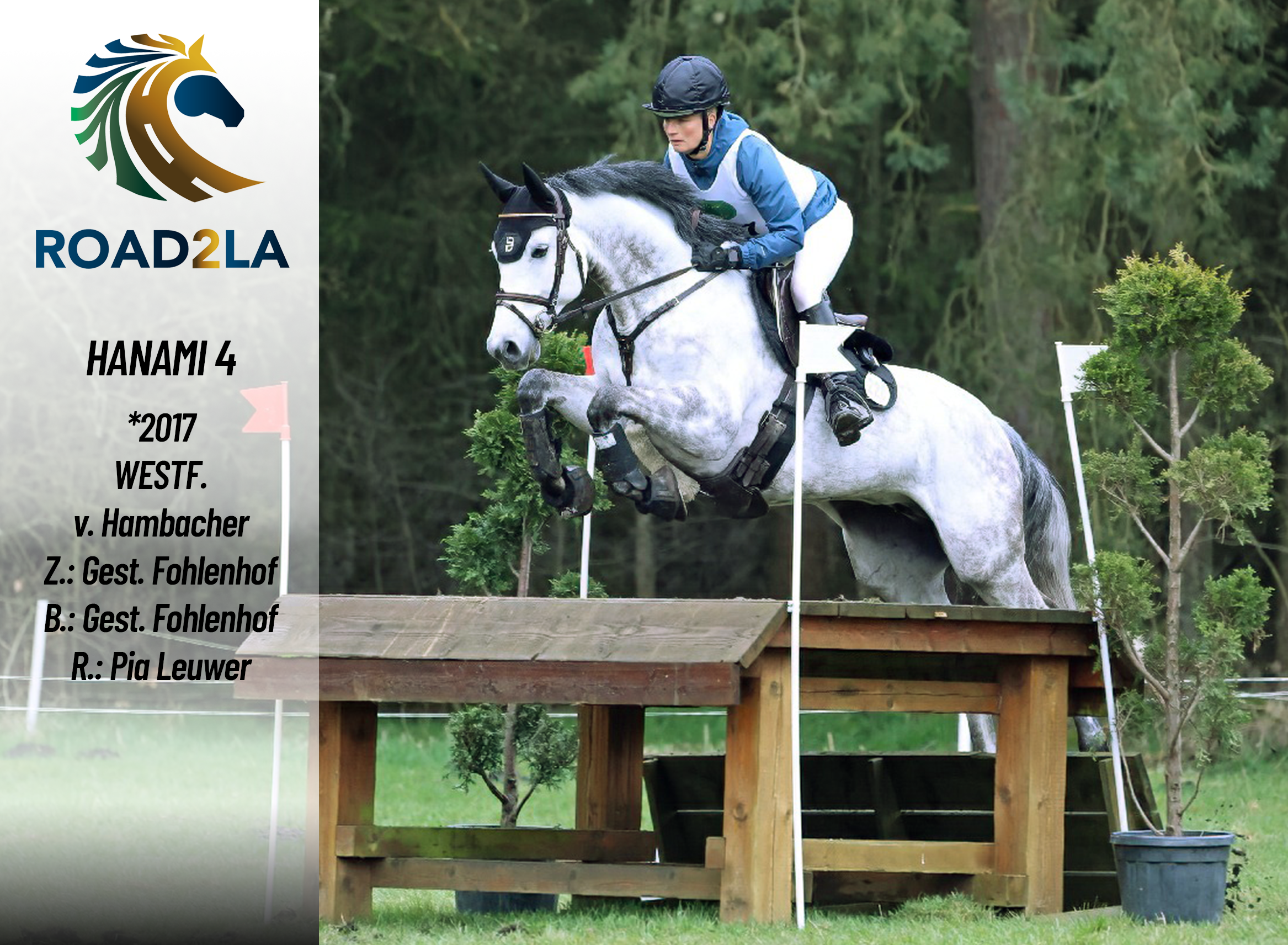 Hanami – A horse that’s dear to my heart, a family horse, and a Road2LA horse all in one