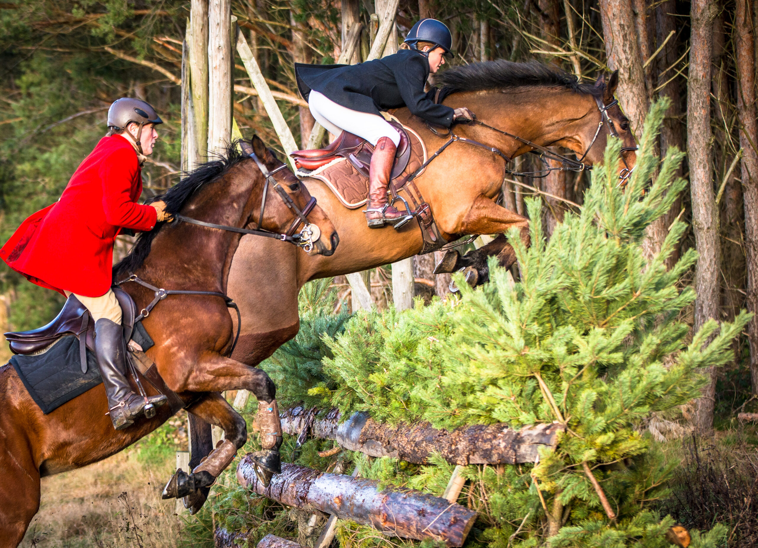 Anhand des zweiten Pferdes, das so hoch springt, wie es soll, kann man sehen, dass Aspen lieber springt, als durchstreicht. Foto: foto-ix.de
