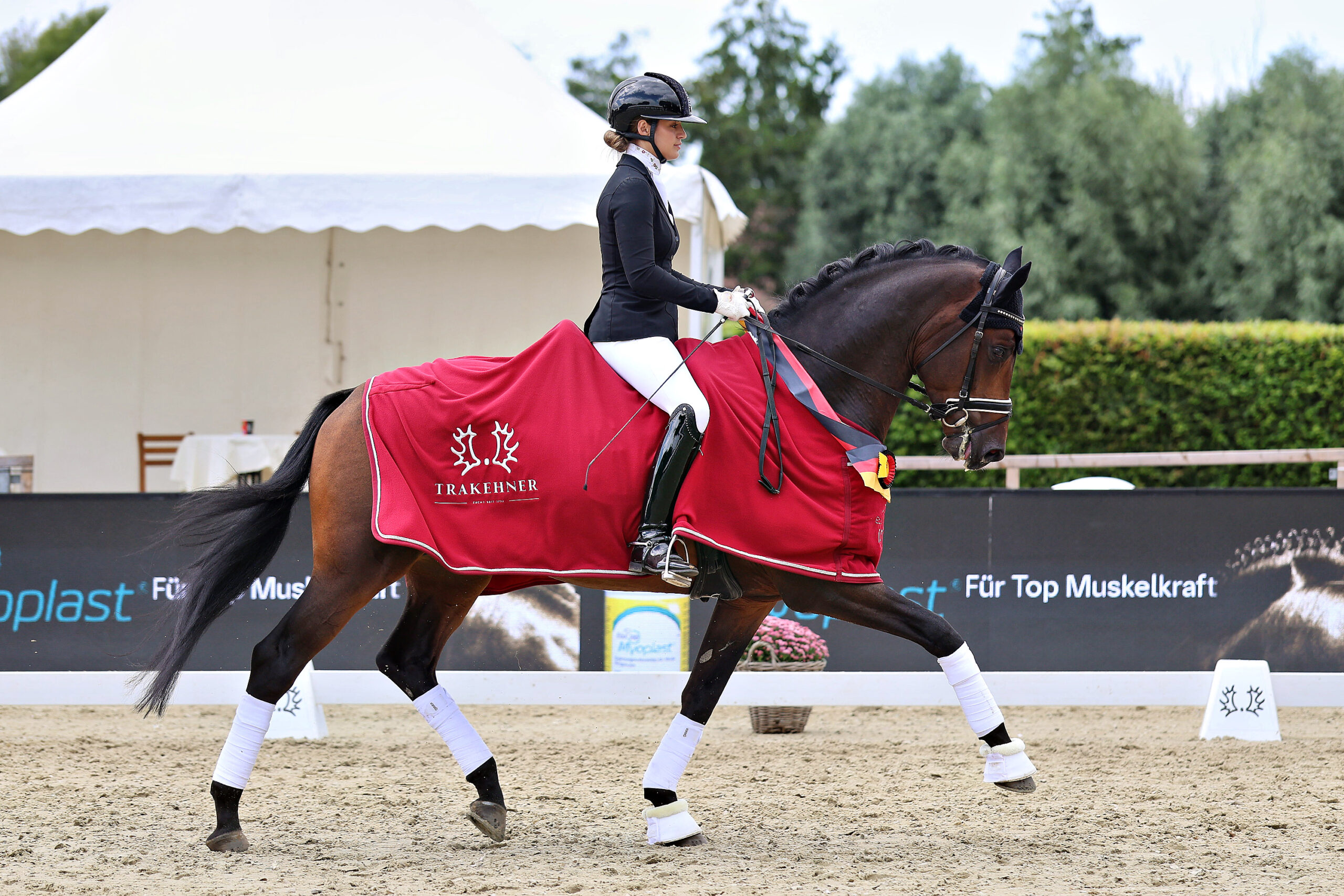 Beatrice Arturi und Havertz, Champion der vierjährigen Trakehner Hengste 2026. Foto: Trakehner Verband/Bauernschmitt