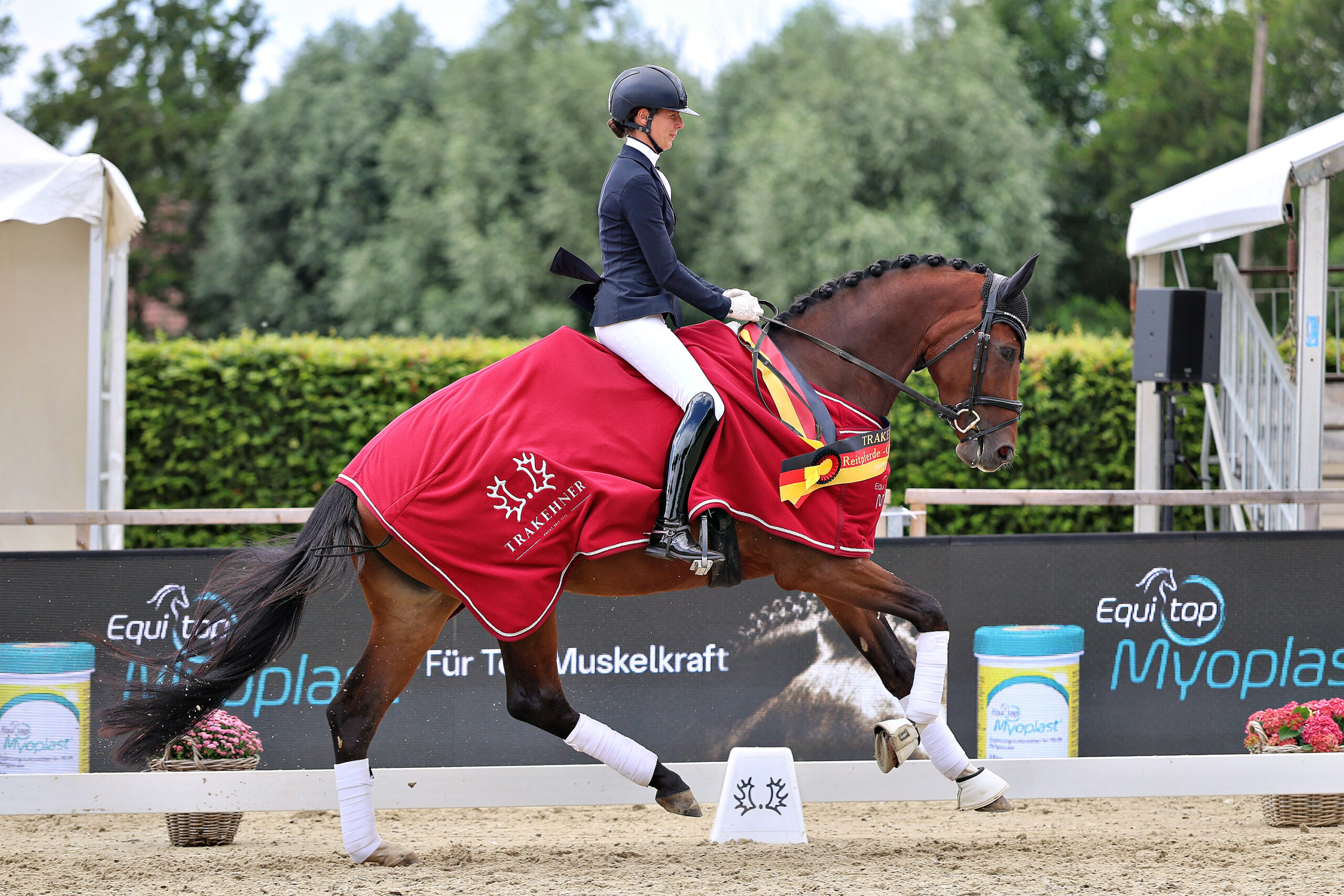 Im Championat der vierjährigen Trakehner Stuten und Wallache ritt Lydia Camp-Riebau die Stute Santalinah zum Titel. Foto: Trakehner Verband/Bauernschmitt