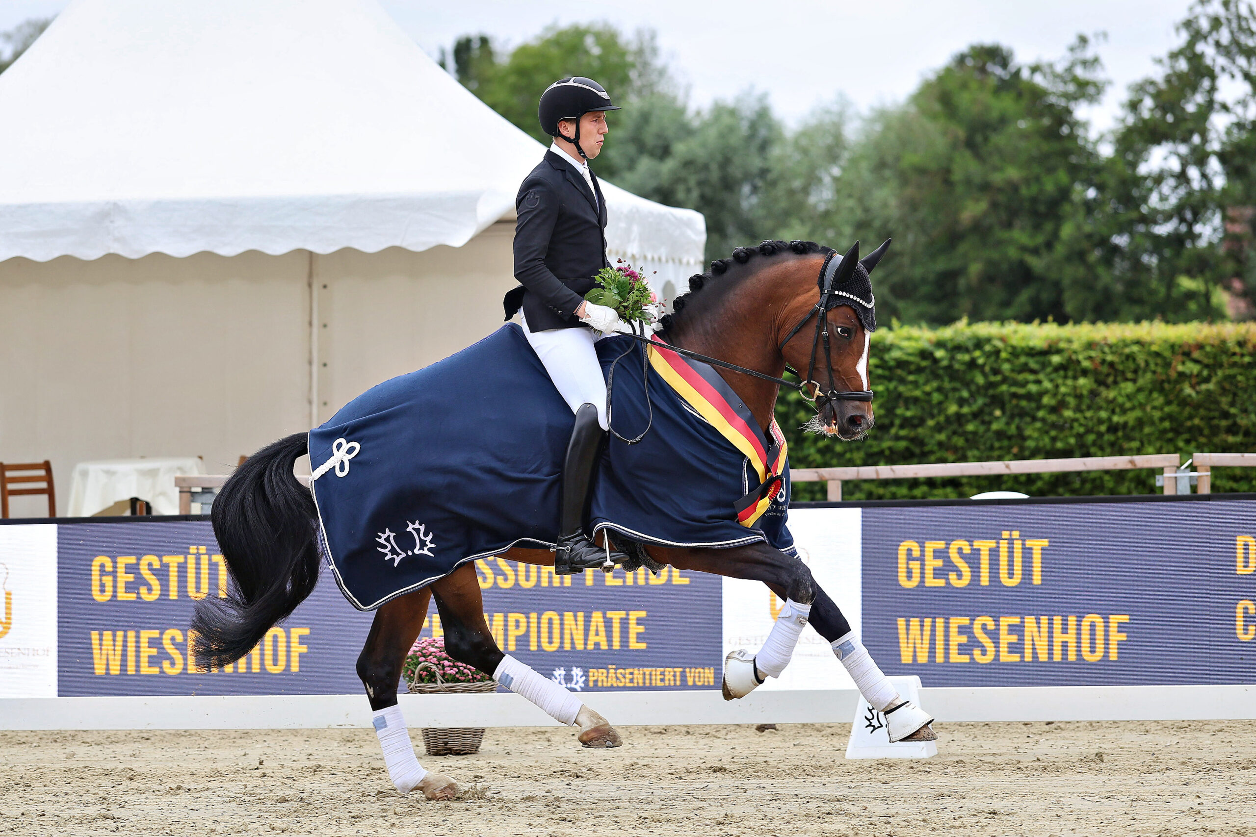 Moritz Gehrmann ritt den Hengst Rockingham v. Sait Cyr zum Championatsgewinn bei den Sechsjährigen. Foto: Trakehner Verband/Bauernschmitt