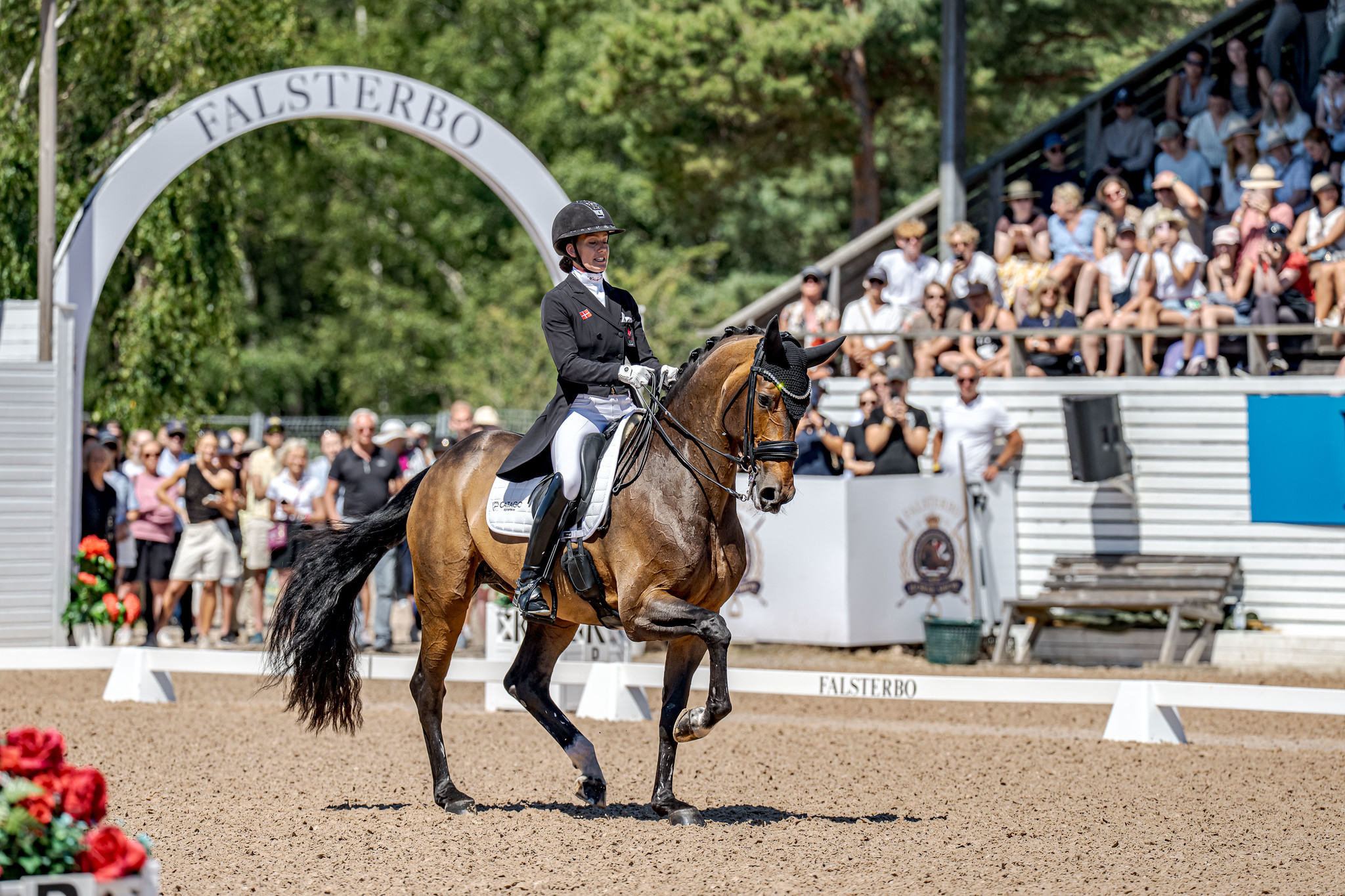 Cathrine Laudrup-Dufour and Freestyle. Photo: FEI/Kim Lundin