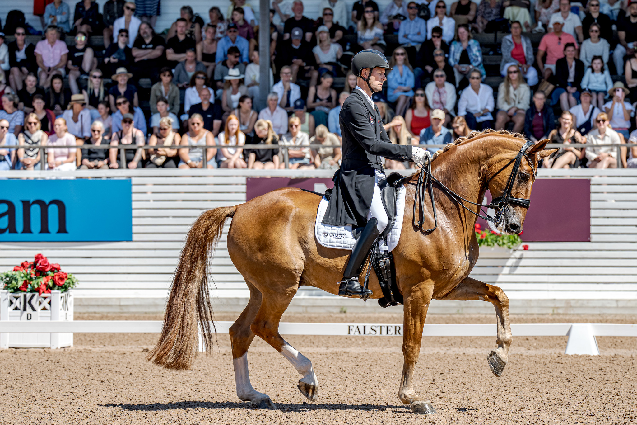 Daniel Bachmann Andersen and Flash Gordon. Photo: FEI/Kim Lundin