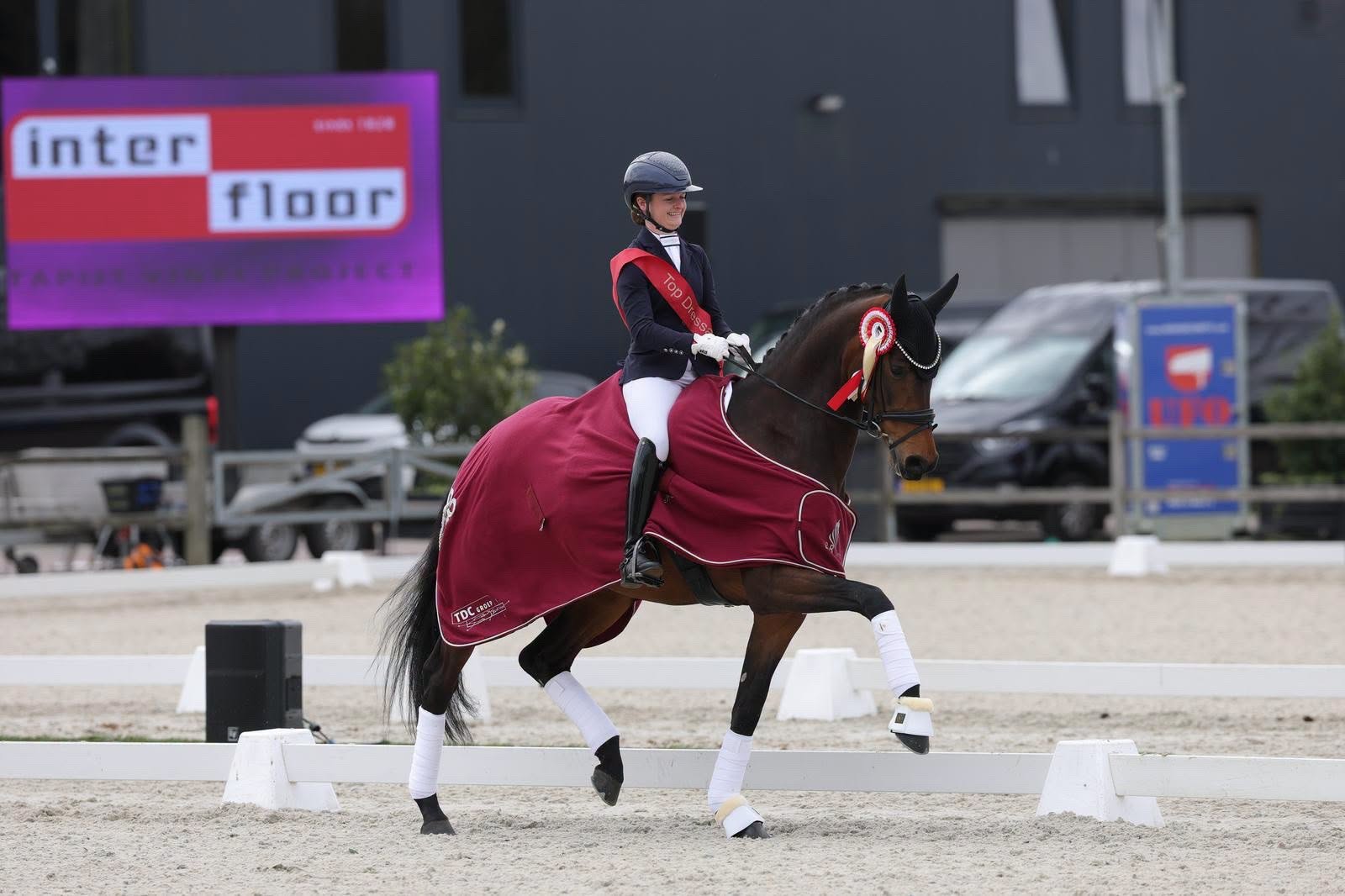 Hannoveraner Secret Agent mit Charlotte Dujardin und weitere deutsche Pferde vertreten Großbritannien bei WM in Verden