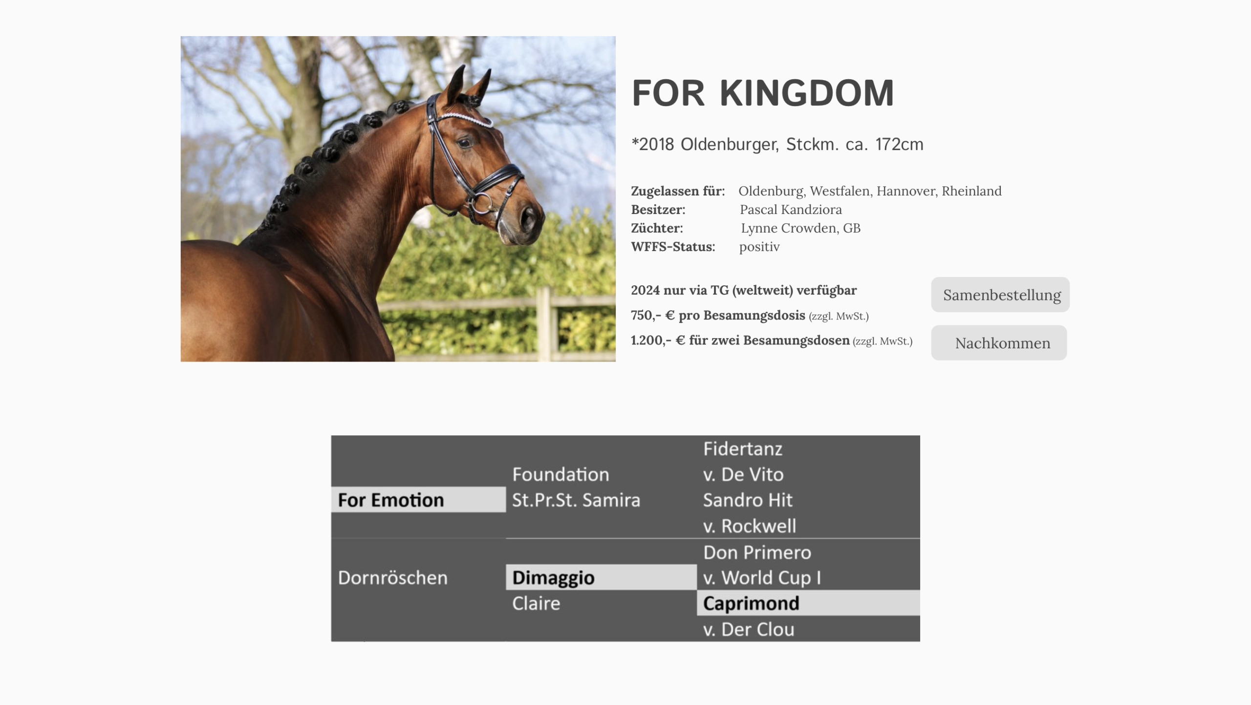 For Kingdom, Leistungsprüfungssieger der Station Kandziora, ist nun auf Gestüt Bonhomme zuhause.
Foto: Screenshot deckstation-kandziora.de