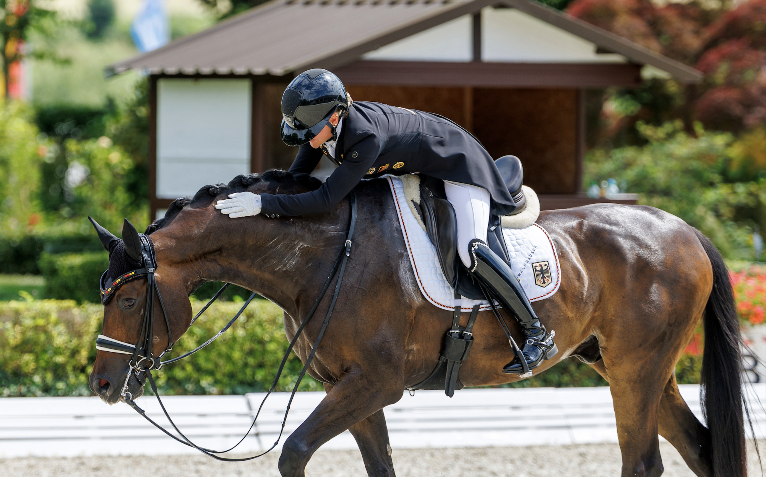 Felicitas Hendricks und Drombusch bei der U25 EM 2025 in Kronberg.
Foto: sportfotos-lafrentz.de