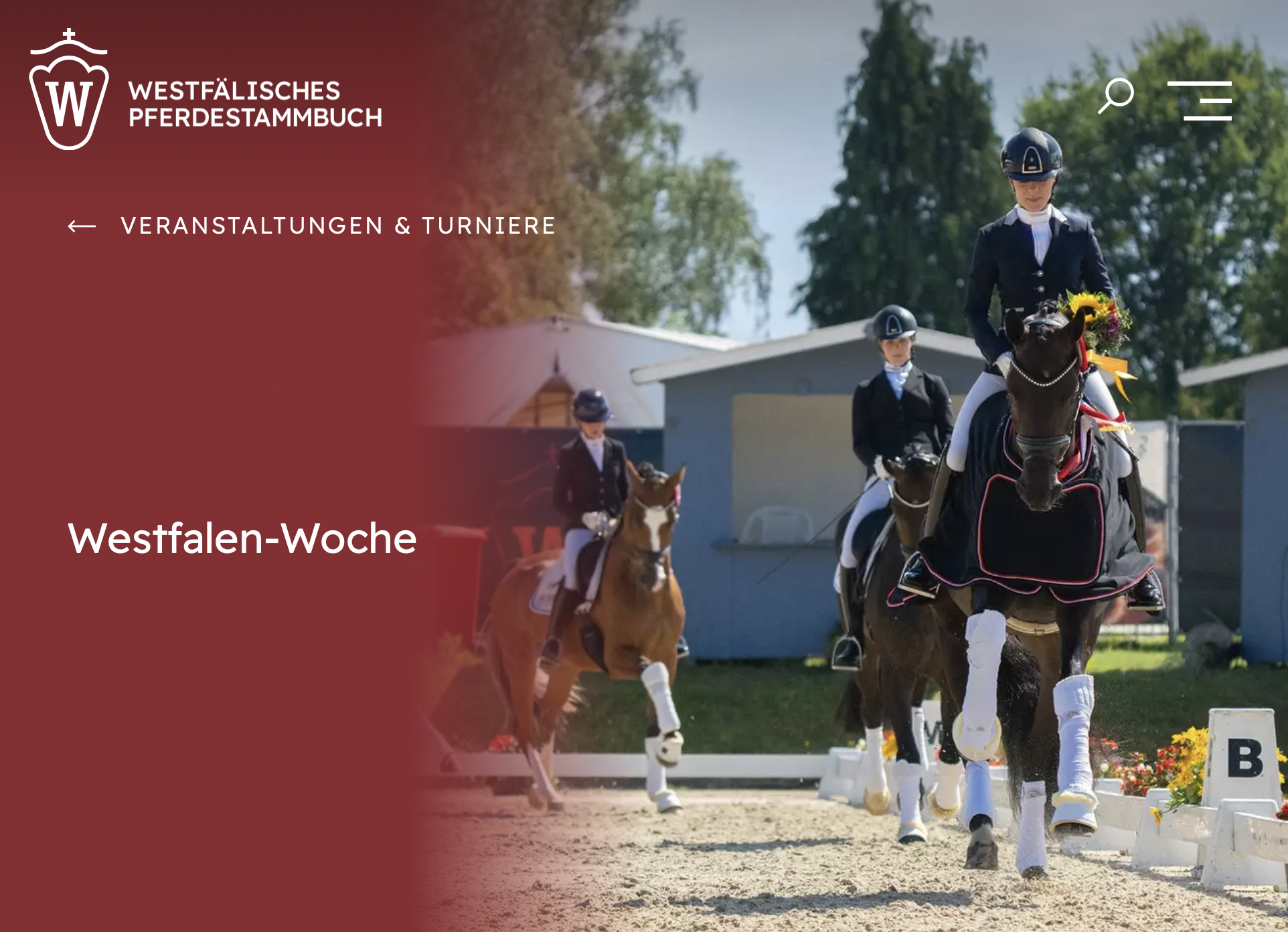 Das Westfälische Pferdestammbuch hat seine Champions gekürt