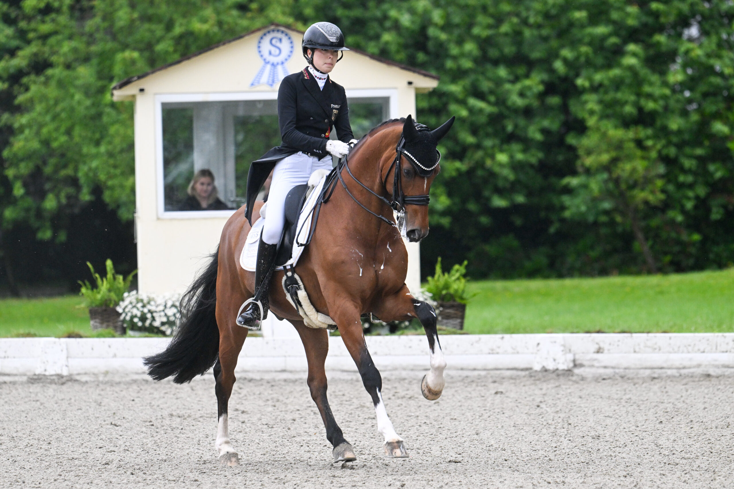 Martha Raupach und Francis Drake OLD – bei den Future Champions (Foto) noch unter 70 Prozent in der FEI-Mannschaftsaufgabe, heute mit gut 71 Prozent Teil des EM-Gold-Teams.
Foto: Mirka Nilkens