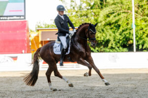Bundeschampion Viva Vitalis in der schweren Klasse angekommen